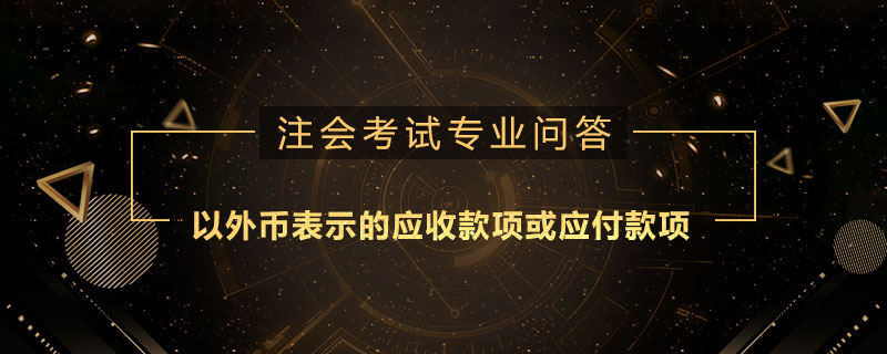 以外幣表示的應(yīng)收款項(xiàng)或應(yīng)付款項(xiàng)