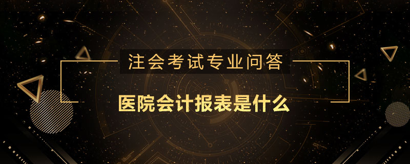 醫(yī)院會計報表是什么