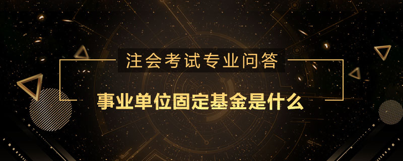 事业单位固定基金是什么