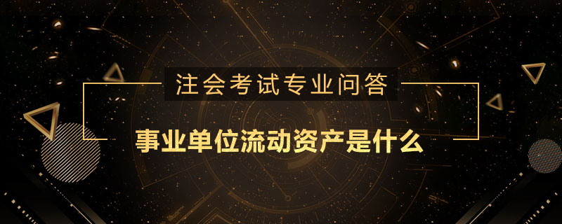 事业单位流动资产是什么