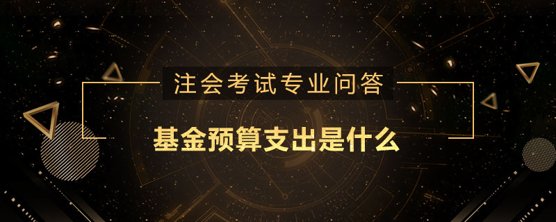 基金预算支出是什么