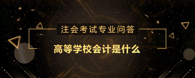 高等学校会计是什么