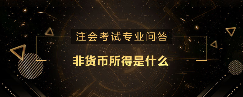 非貨幣所得是什么