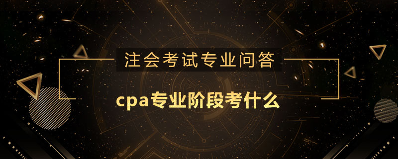 cpa专业阶段考什么