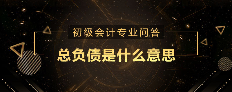 總負(fù)債是什么意思