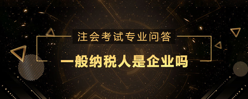 一般納稅人是企業(yè)嗎