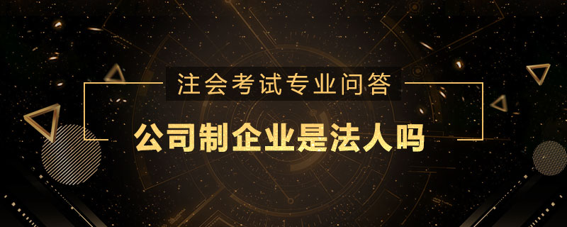 公司制企业是法人吗