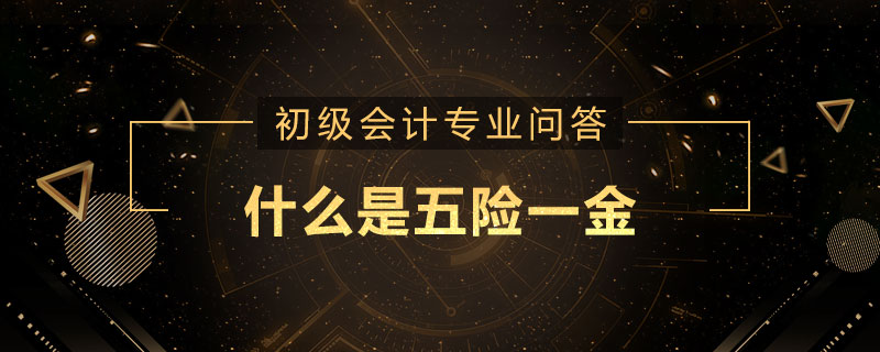 什么是五险一金