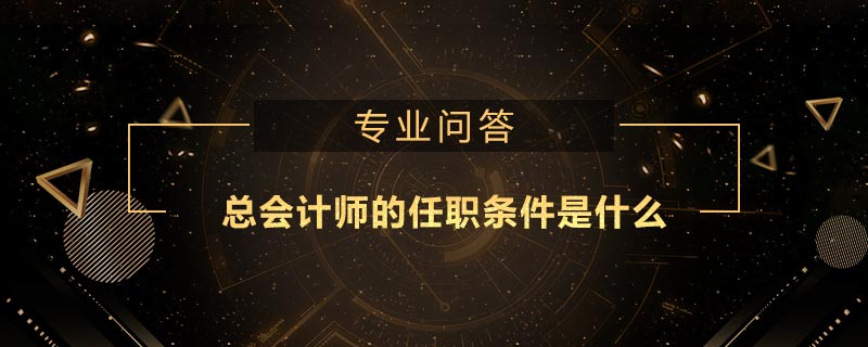 總會計師的任職條件是什么