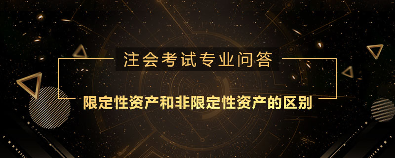 限定性资产和非限定性资产的区别