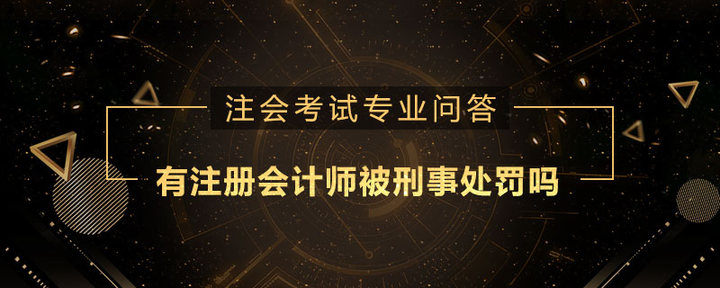 有注册会计师被刑事处罚吗