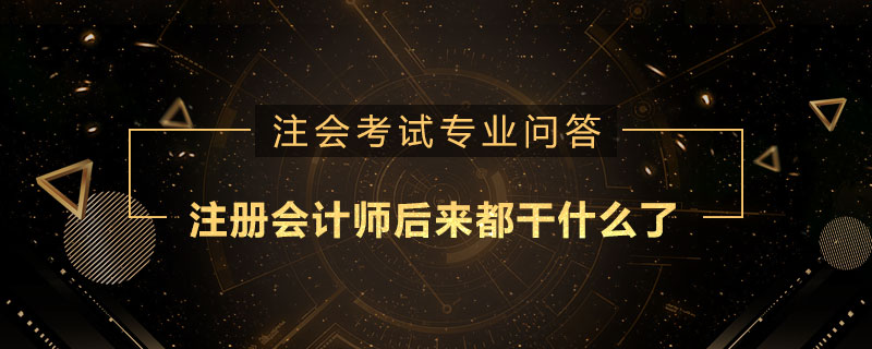 注册会计师后来都干什么了