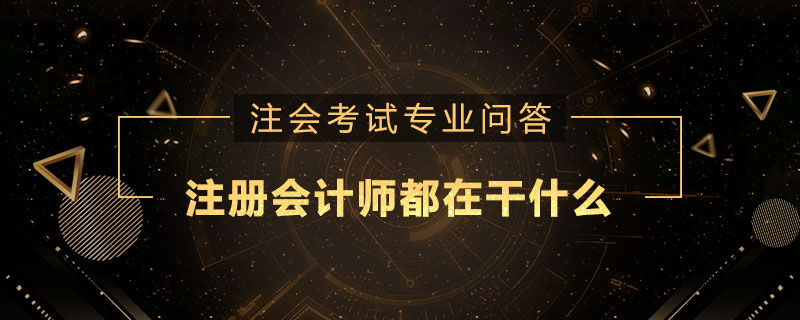 注册会计师都在干什么