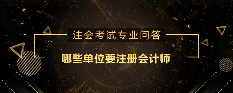 哪些单位要注册会计师
