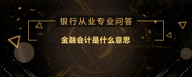 金融会计是什么意思