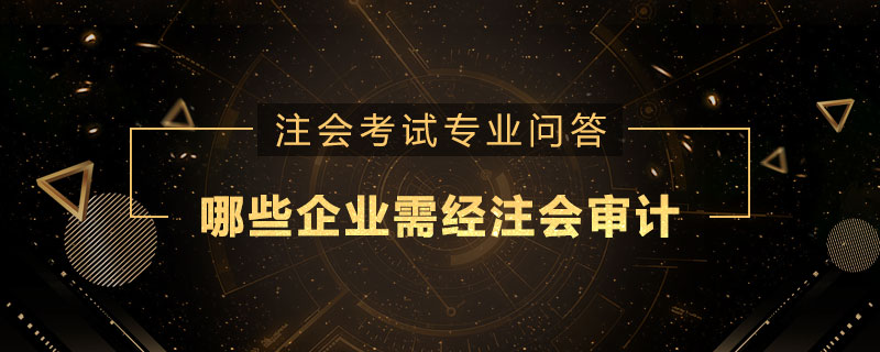 哪些企业需经注册会计师审计