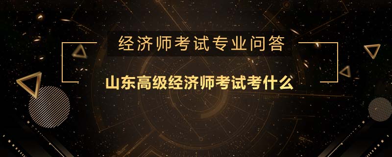 山东高级经济师考试考什么