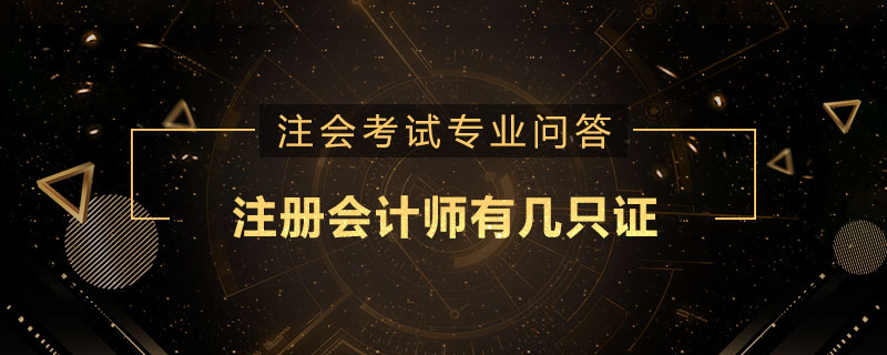 注册会计师有几只证