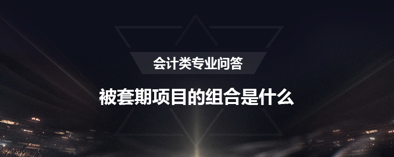 被套期项目的组合是什么