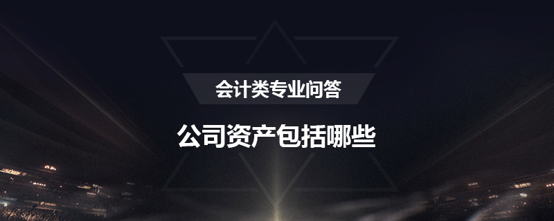 公司资产包括哪些