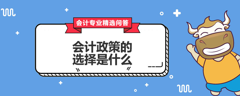 会计政策的选择是什么