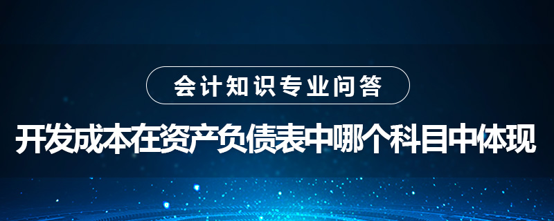 開發(fā)成本在資產(chǎn)負債表中哪個科目中體現(xiàn)