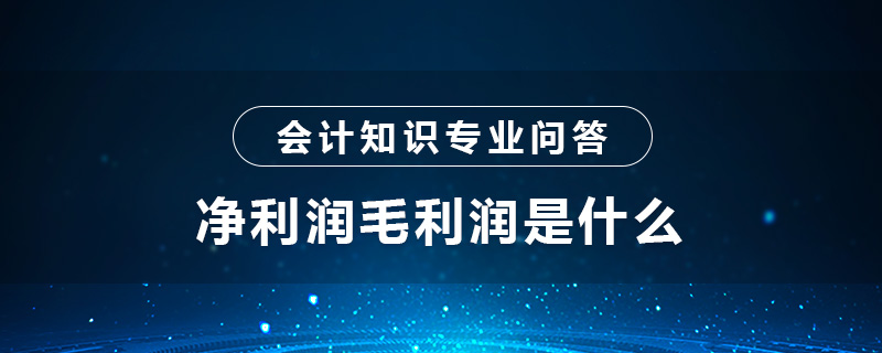 凈利潤毛利潤是什么