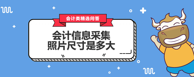 會計信息采集照片尺寸是多大