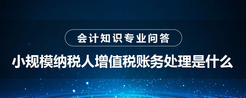 小規(guī)模納稅人增值稅賬務(wù)處理是什么