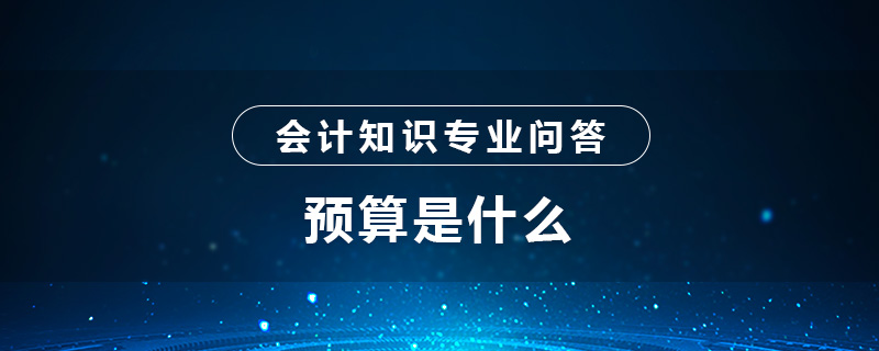 预算是什么