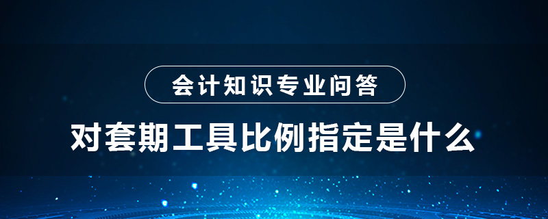 對套期工具比例指定是什么