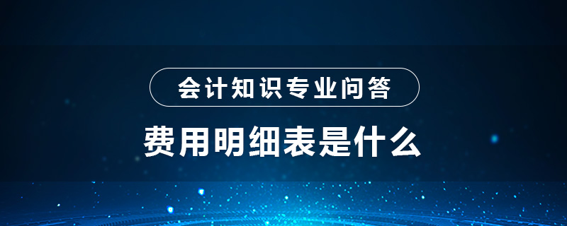 费用明细表是什么