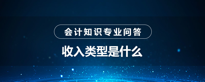 收入类型是什么