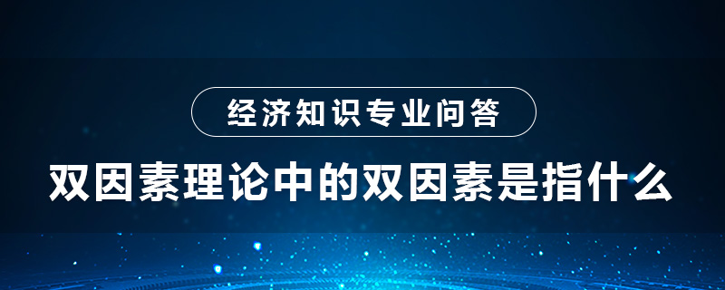 雙因素理論中的雙因素是指什么