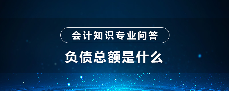 负债总额是什么