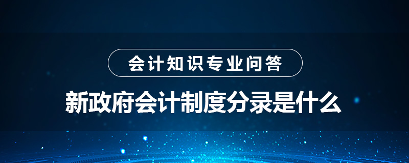 新政府會計制度分錄是什么