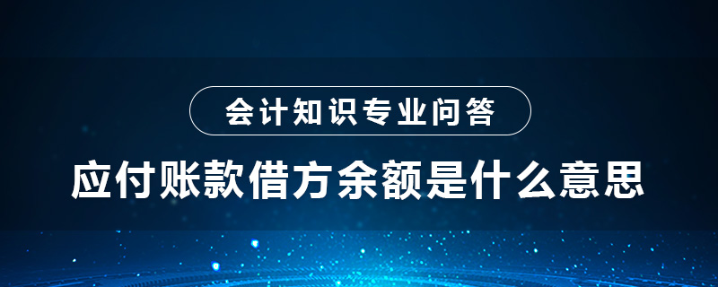 应付账款借方余额是什么意思