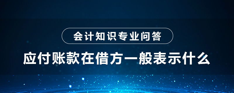 应付账款在借方一般表示什么