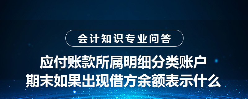 應(yīng)付賬款所屬明細分類賬戶期末如果出現(xiàn)借方余額表示什么