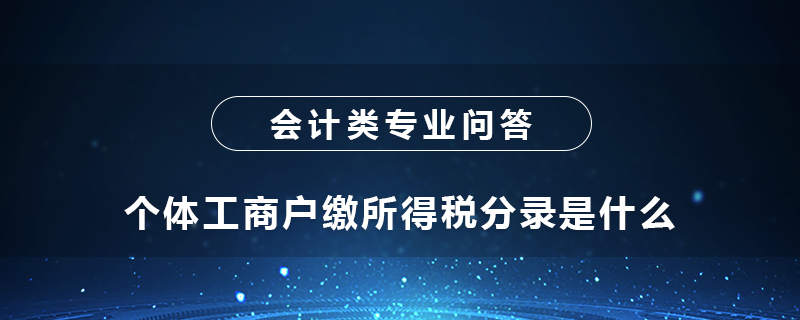 个体工商户缴所得税分录是什么