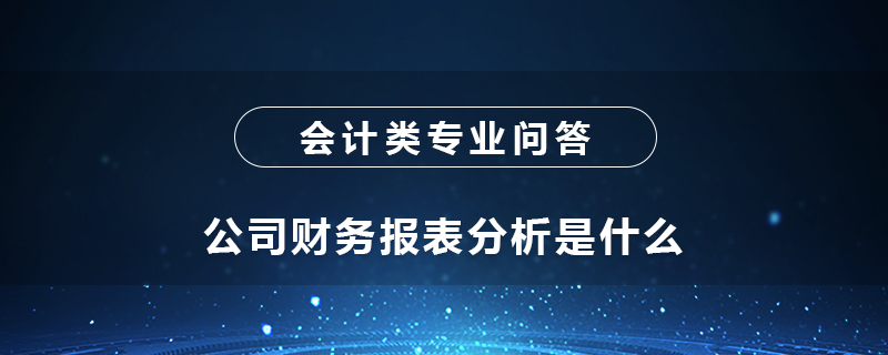 公司財務(wù)報表分析是什么