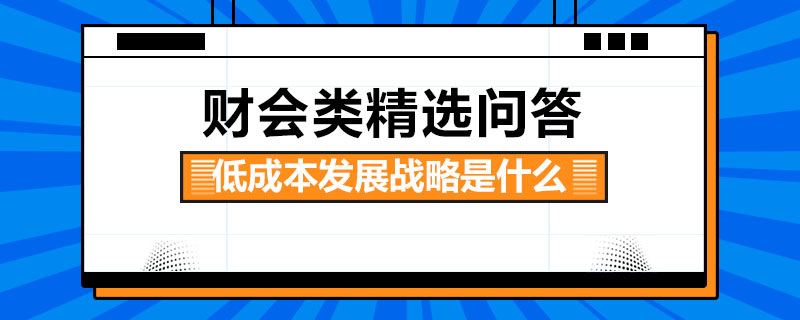 低成本发展战略是什么