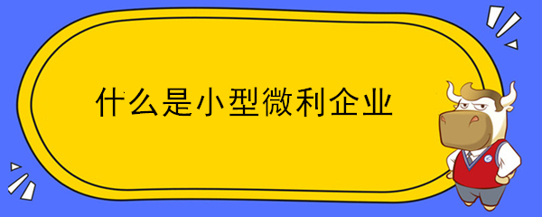 什么是小型微利企業(yè)