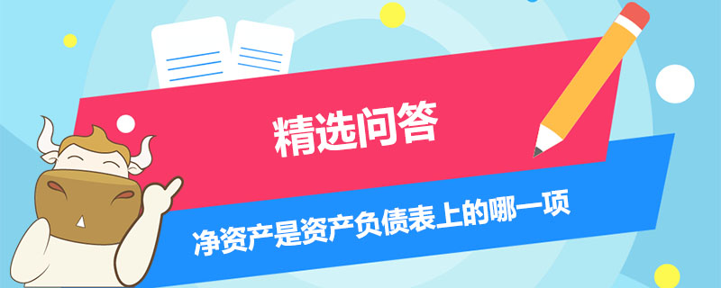 凈資產(chǎn)是資產(chǎn)負(fù)債表上的哪一項