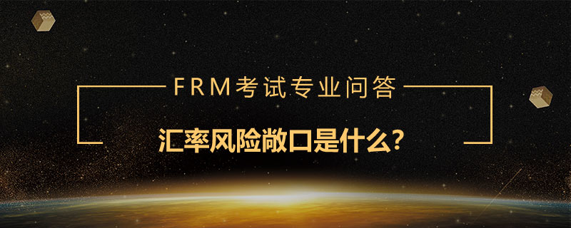 匯率風(fēng)險敞口是什么