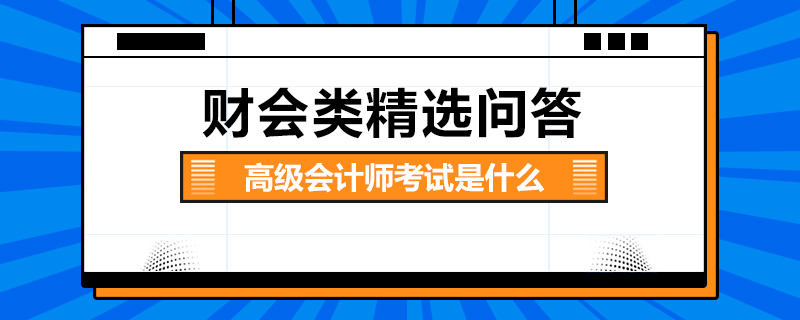 高級會計師考試是什么