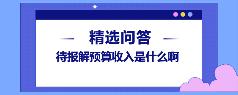 待報解預(yù)算收入是什么啊